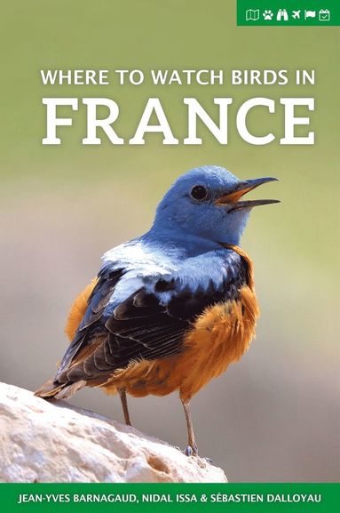 bokomslag Where to Watch Birds in France