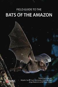 bokomslag Field Guide to the Bats of the Amazon