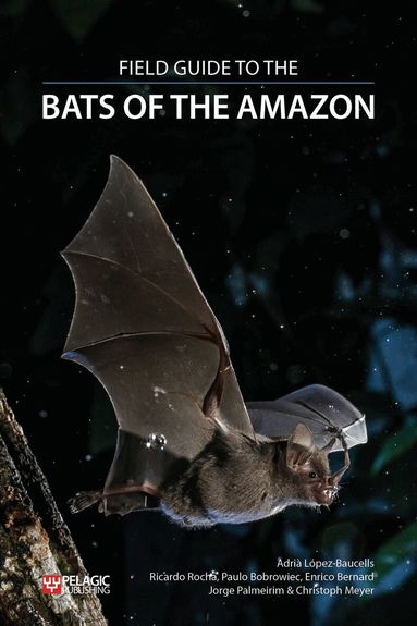 Adrià López-Baucells, Ricardo Rocha, Paulo Bobrowiec, Enrico Bernard, Jorge Palmeirim, Christoph F. J. Meyer - Field Guide to the Bats of the Amazon, Häftad
