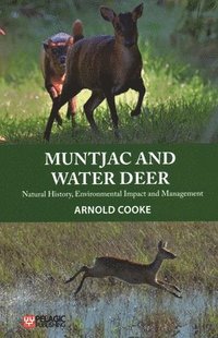 bokomslag Muntjac and Water Deer