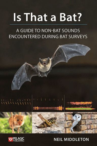Neil Middleton - Is That a Bat?, Häftad