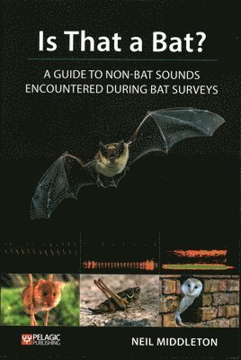 Neil Middleton - Is That a Bat?, Häftad
