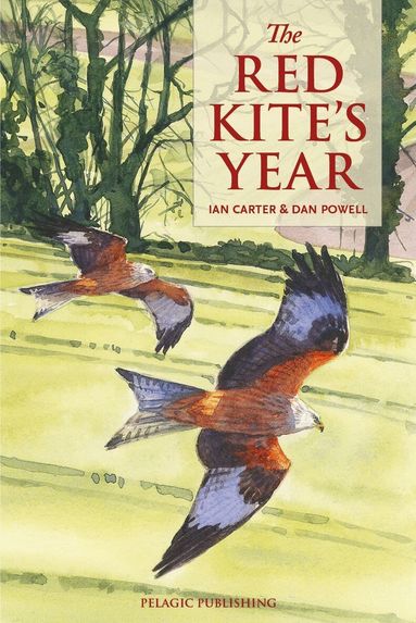 Ian Carter - Red Kite’s Year, Häftad