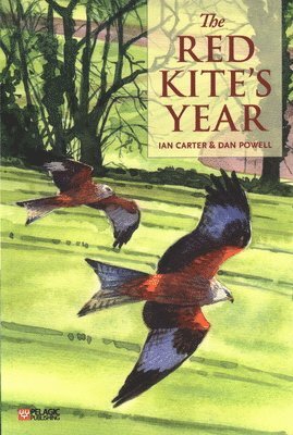 Red Kite's Year 1