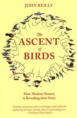 The Ascent of Birds 1
