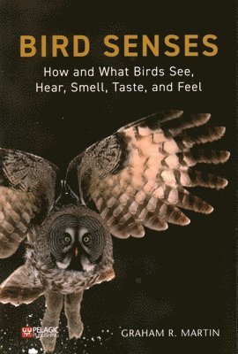 Bird Senses 1