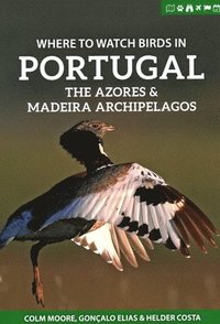 bokomslag Where to Watch Birds in Portugal, the Azores & Madeira Archipelagos