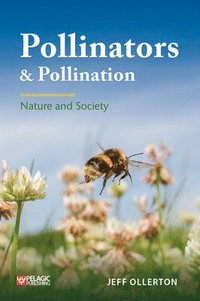 bokomslag Pollinators and Pollination