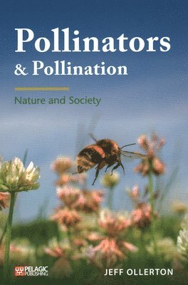 bokomslag Pollinators and Pollination