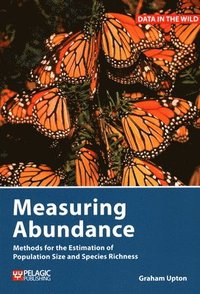 bokomslag Measuring Abundance