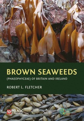 Robert L. Fletcher, Robert L Fletcher - Brown Seaweeds (Phaeophyceae) of Britain and Ireland, Inbunden