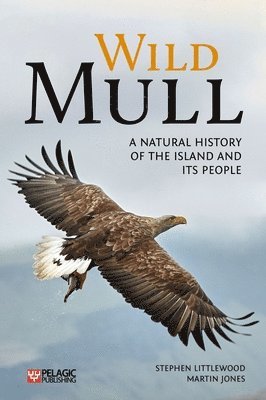 Wild Mull 1