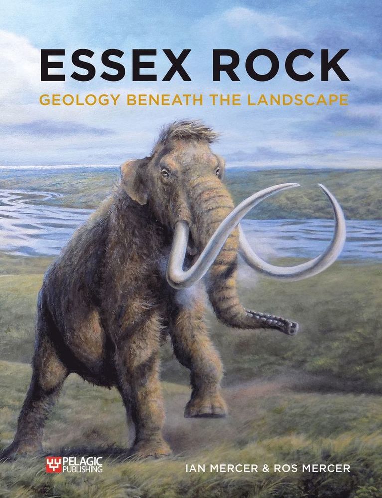 Essex Rock 1