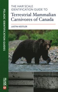 bokomslag The Hair Scale Identification Guide to Terrestrial Mammalian Carnivores of Canada