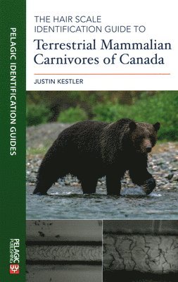 bokomslag Hair Scale Identification Guide to Terrestrial Mammalian Carnivores of Canada