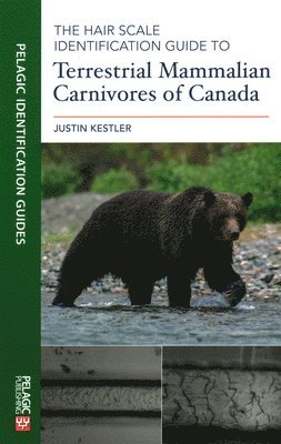 The Hair Scale Identification Guide to Terrestrial Mammalian Carnivores of Canada 1