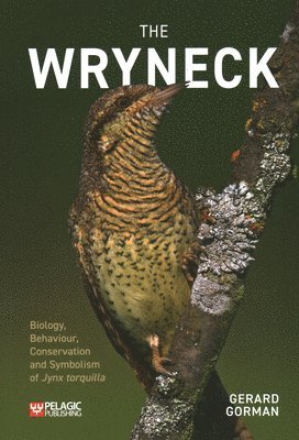 Gerard Gorman - Wryneck, Häftad