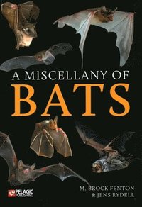 bokomslag A Miscellany of Bats