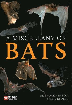 A Miscellany of Bats 1