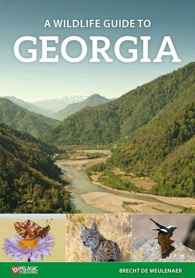 Brecht De Meulenaer - Wildlife Guide to Georgia, Häftad