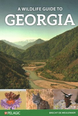 A Wildlife Guide to Georgia 1