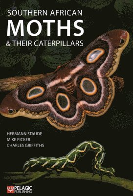 bokomslag Southern African Moths and their Caterpillars