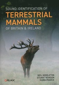 bokomslag Sound Identification of Terrestrial Mammals of Britain & Ireland