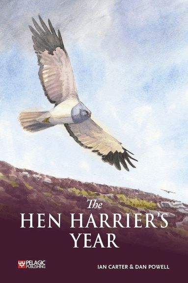 Ian Carter - Hen Harrier's Year, Häftad