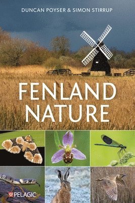 Fenland Nature 1