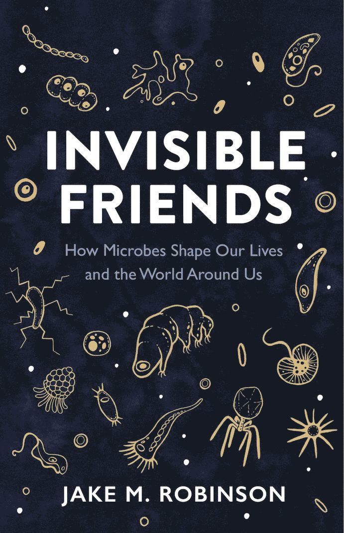 Jake Robinson - Invisible Friends, Inbunden