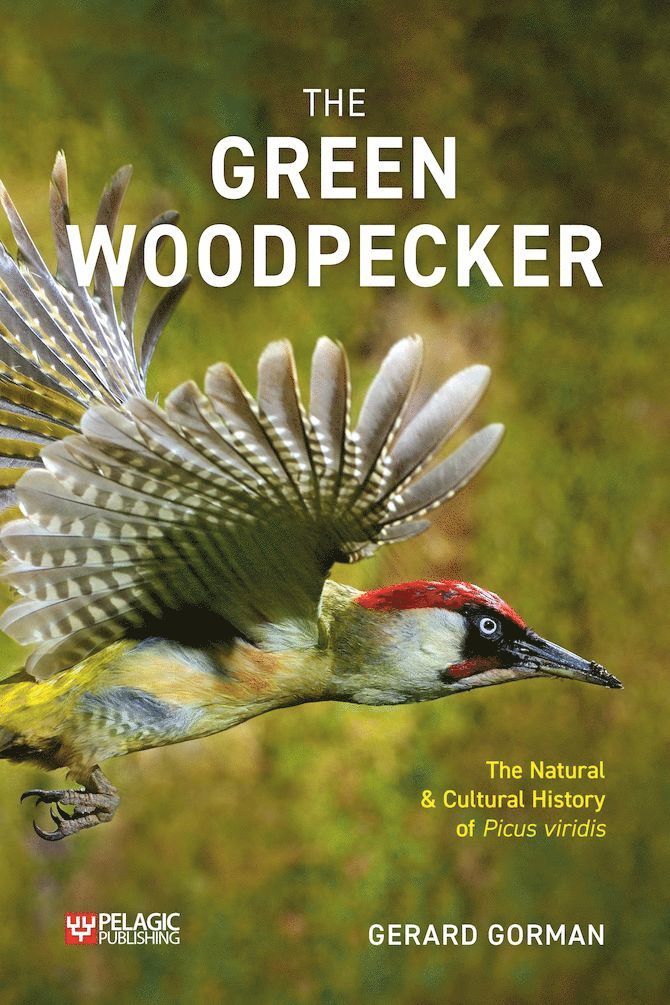 Green Woodpecker