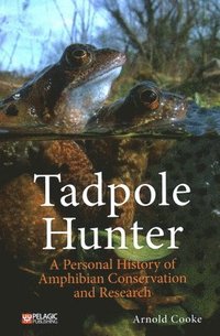bokomslag Tadpole Hunter