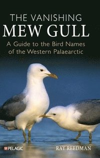 bokomslag The Vanishing Mew Gull