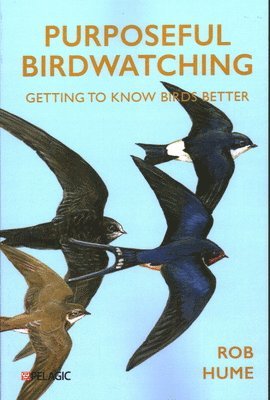 Purposeful Birdwatching 1