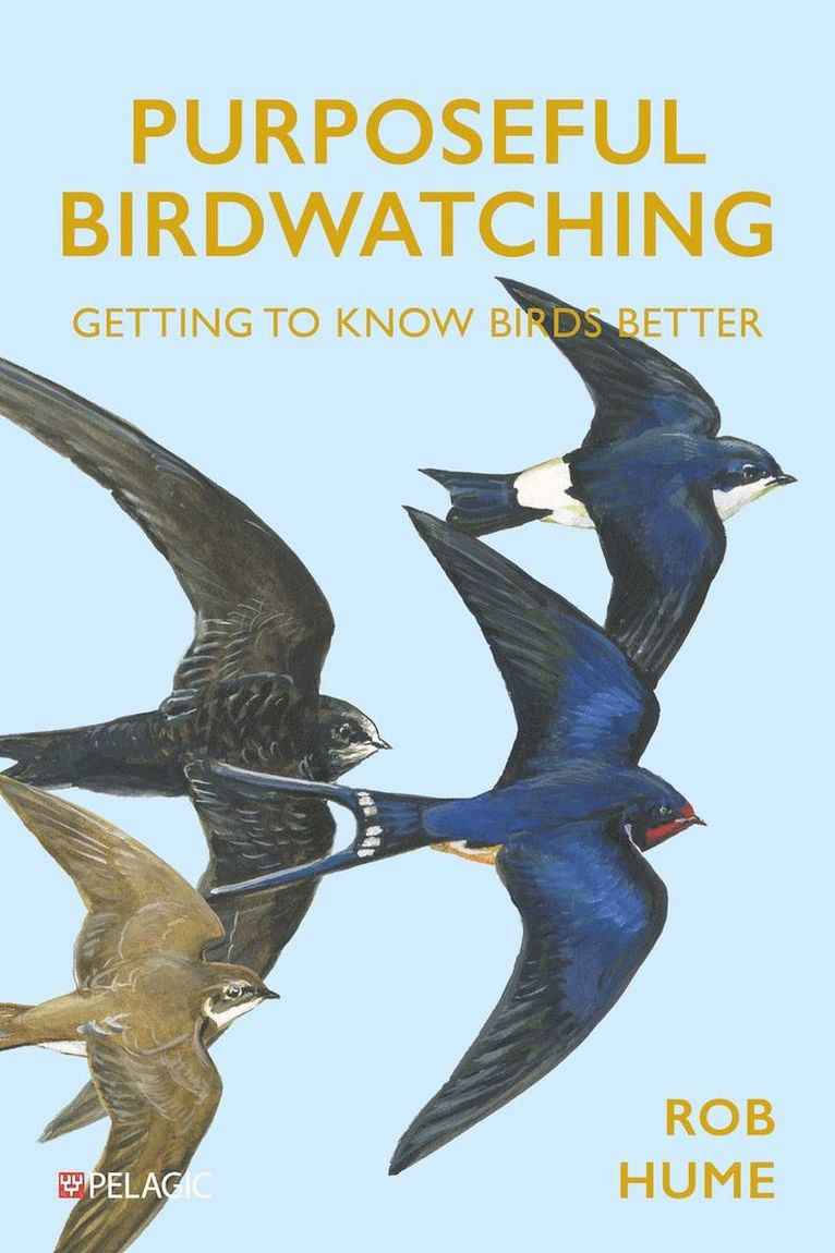Rob Hume - Purposeful Birdwatching, Häftad