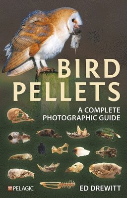 Bird Pellets 1