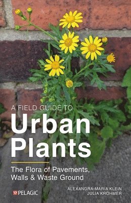 Alexandra-Maria Klein, Julia Krohmer - Field Guide to Urban Plants, Häftad