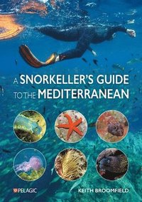 bokomslag A Snorkellers Guide to the Mediterranean