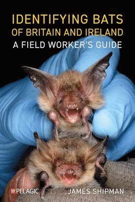 Identifying Bats of Britain and Ireland 1