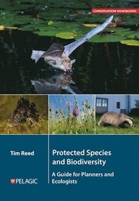 bokomslag Protected Species and Biodiversity