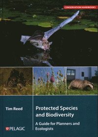 bokomslag Protected Species and Biodiversity