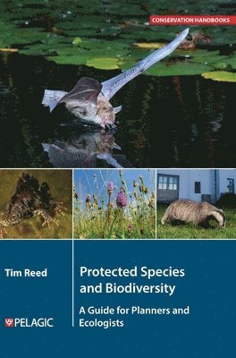 Protected Species and Biodiversity