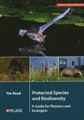 bokomslag Protected Species and Biodiversity