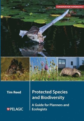 Protected Species and Biodiversity 1