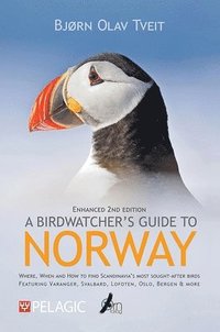 bokomslag A Birdwatchers Guide to Norway
