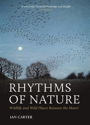 Rhythms of Nature 1