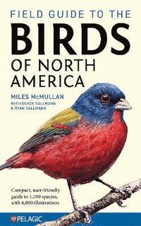 bokomslag Field Guide to the Birds of North America