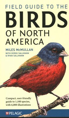 bokomslag Field Guide to the Birds of North America