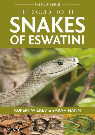 bokomslag Field Guide to the Snakes of Eswatini