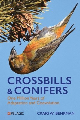 bokomslag Crossbills and Conifers